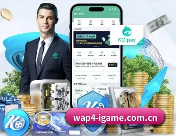 爱游戏官方下载电脑版 APP 深度功能